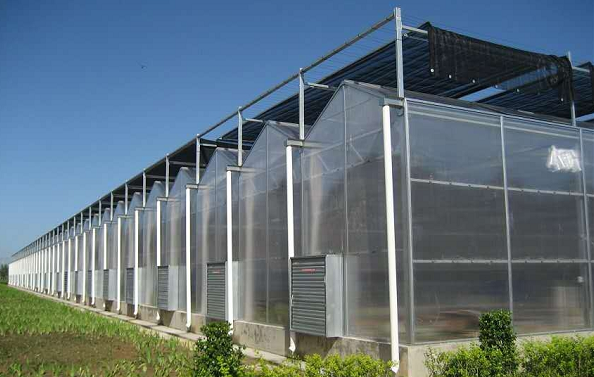 What are the advantages and functions of greenhouse polycarbonate sheet?