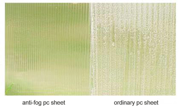 Razóns para as follas de policarbonato anti-néboa para invernadoiros