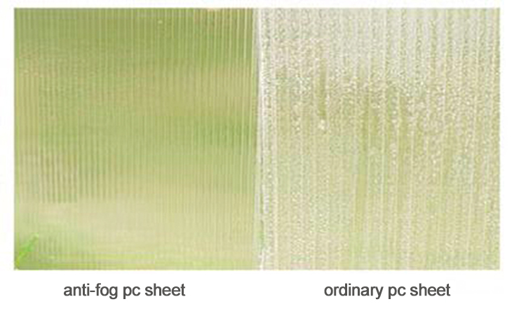 Redenen foar Anti-fog Polycarbonate Sheets foar Greenhouses