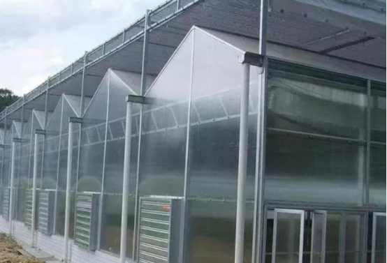 Advantages of using hollow polycarbonate sheet as greenhouse