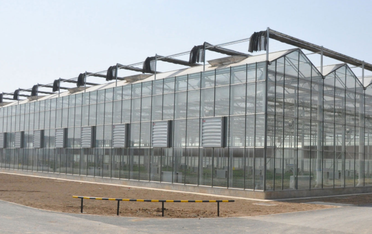 Why do greenhouses choose PC hollow sheet as covering materials